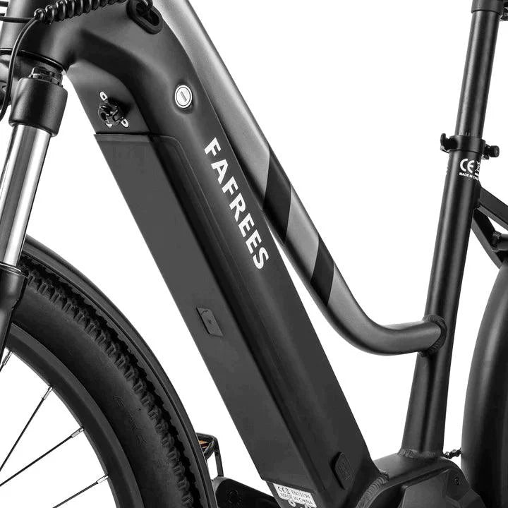 Fafrees FM8 Electric Bike-Vostro Cycles