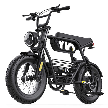 Coswheel Y16 Electric Bike