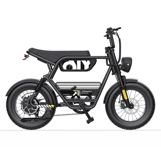 Coswheel Y16 Electric Bike