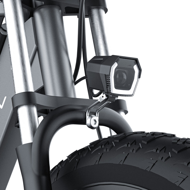 Coswheel T26 Cargo OFF-ROAD Electric Bike