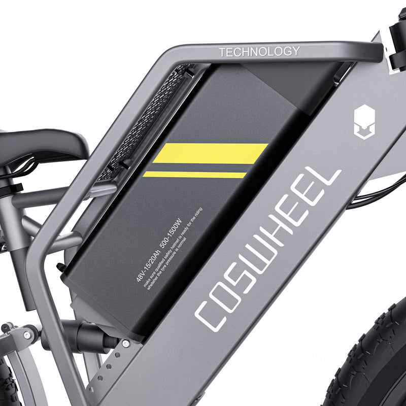 Coswheel T26 Cargo OFF-ROAD Electric Bike