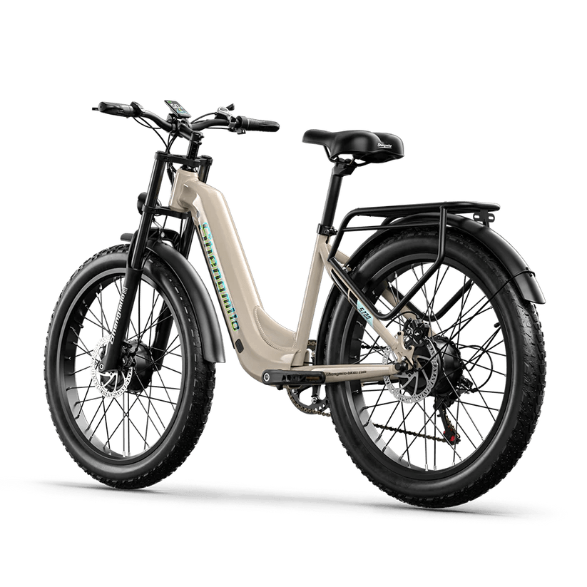 Shengmilo S700 Dual Motor Electric Bike