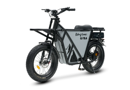 Riding Times GT53 Electric Cargo Bike