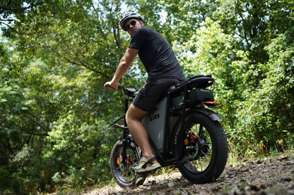 Riding Times GT53 Electric Cargo Bike