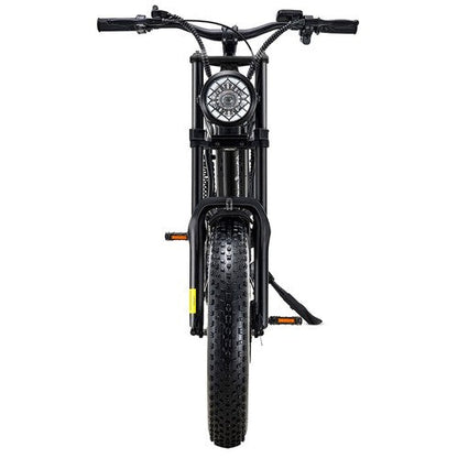 Riding Times Z8 Electric Bike
