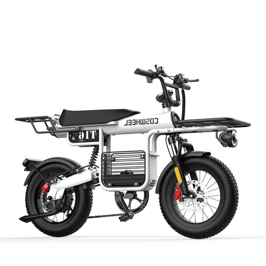 Coswheel T16 Electric Bike