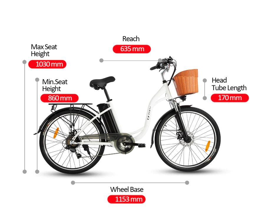 DYU C6 Upgraded Electric Bike