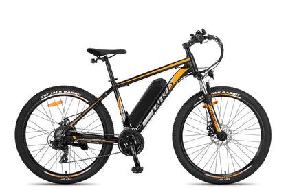 Fafrees F28 MT Mountain Electric Bike-Vostro Cycles