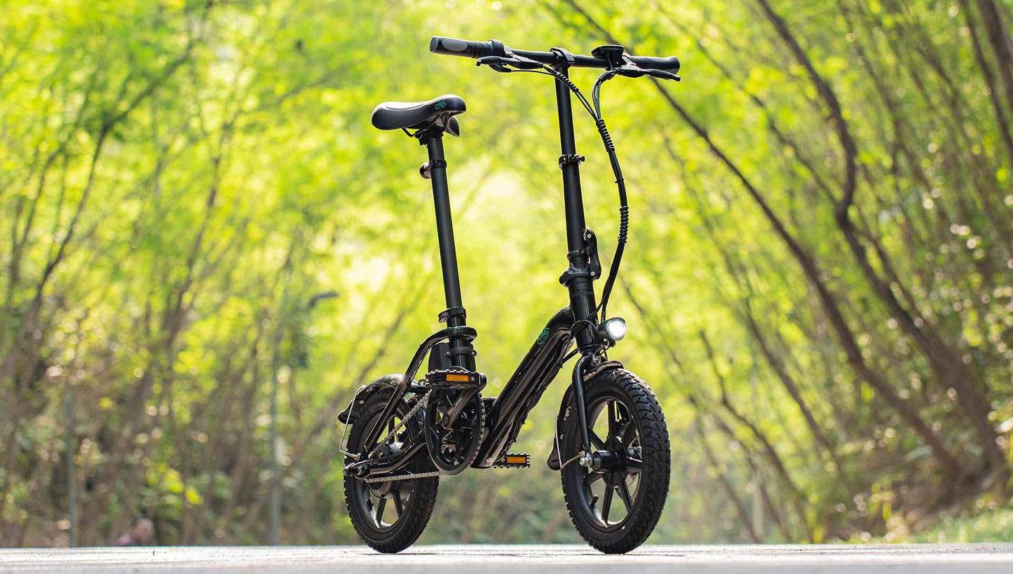 FIIDO D3 PRO Electric Bike with mudguard and light-Vostro Cycles