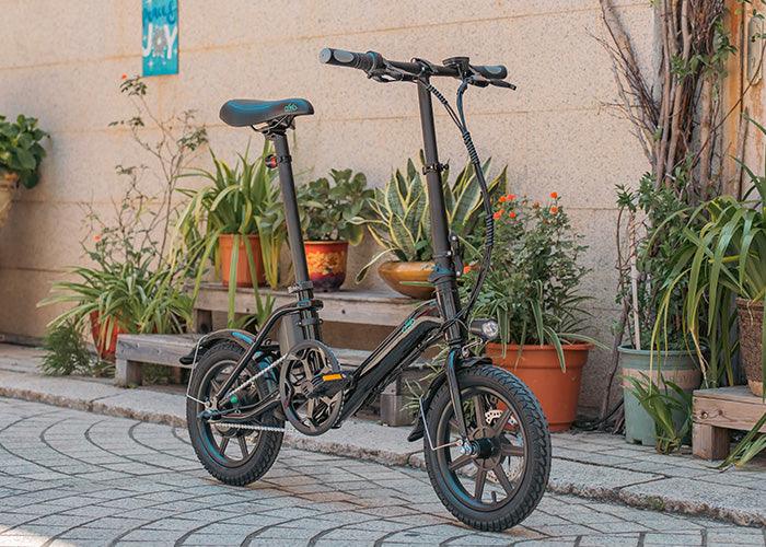 FIIDO D3 PRO Electric Bike with mudguard and light-Vostro Cycles