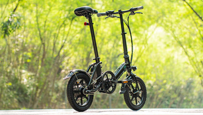 FIIDO D3 PRO Electric Bike with mudguard and light-Vostro Cycles