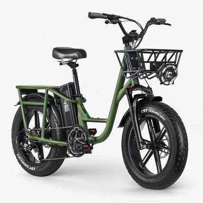 FIIDO T1 pro v2 upgraded Cargo Electric Bike-Vostro Cycles