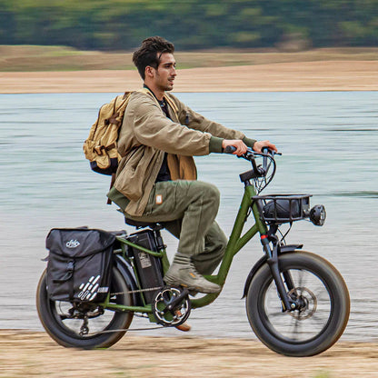 FIIDO T1 pro v2 upgraded Cargo Electric Bike-Vostro Cycles