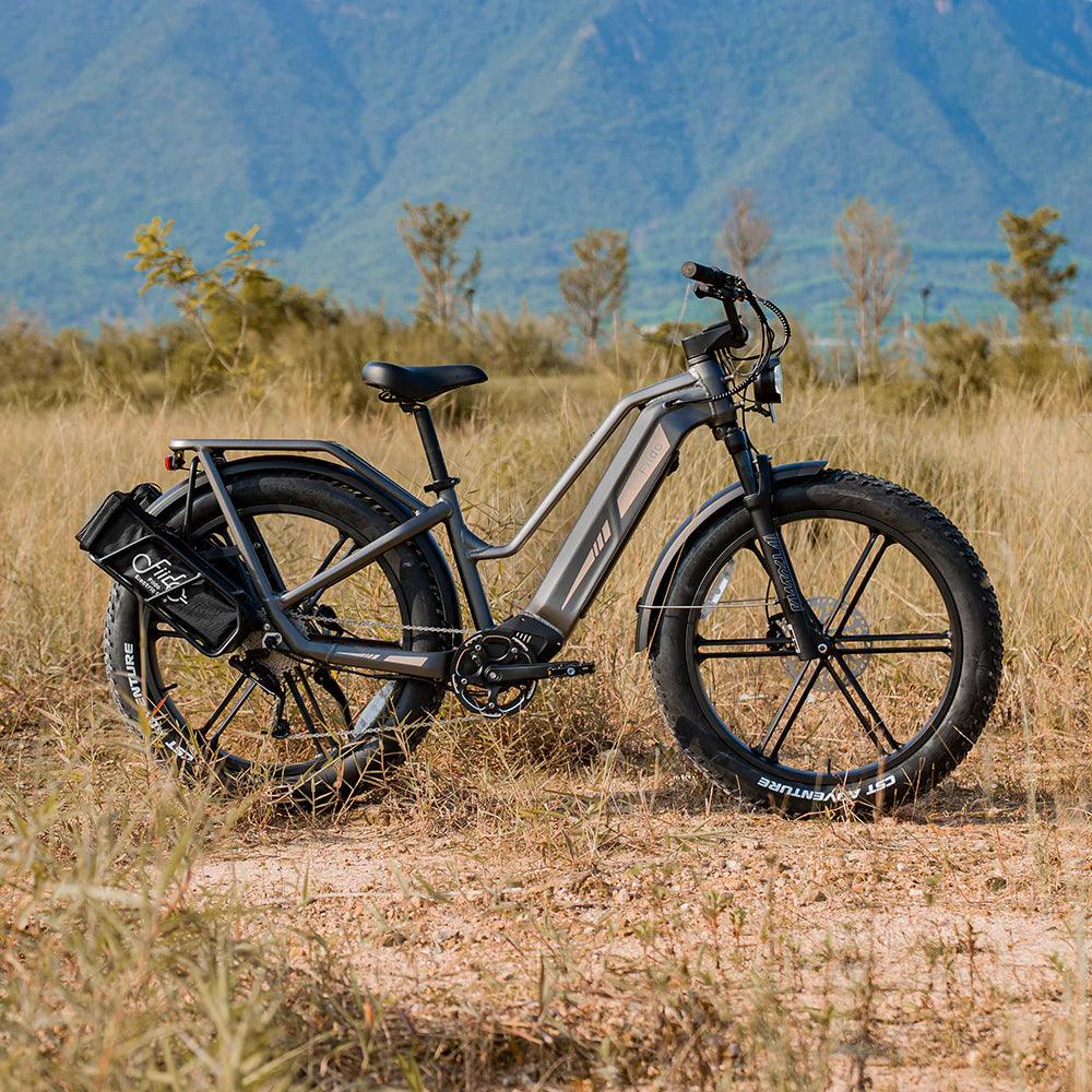 Fiido Titan Robust Cargo Electric Bike-Vostro Cycles