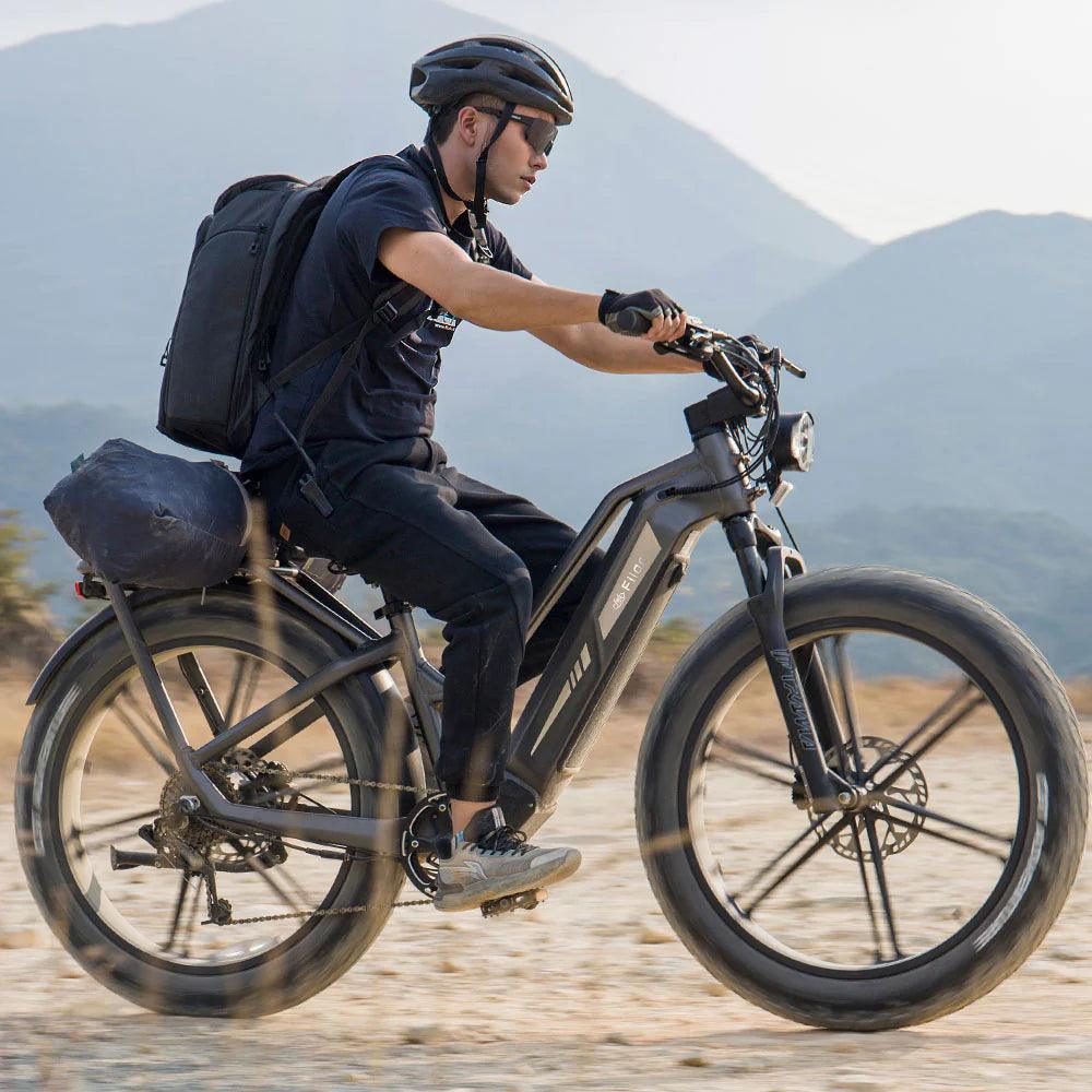 Fiido Titan Robust Cargo Electric Bike-Vostro Cycles