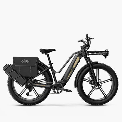 Fiido Titan Robust Cargo Electric Bike-Vostro Cycles